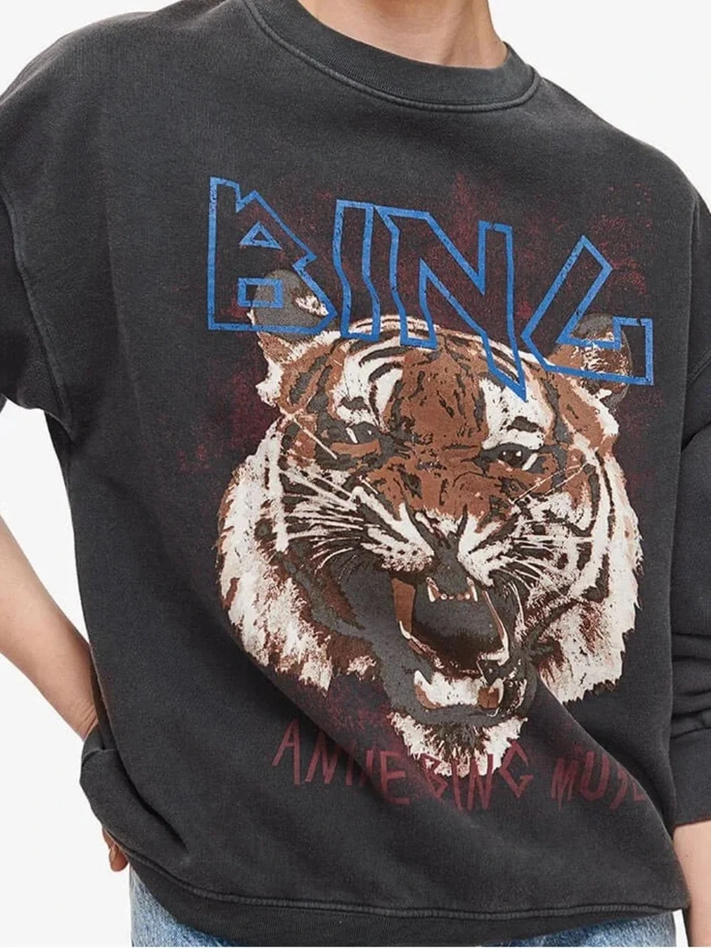 ANINE BING | TIGER SWEATSHIRT - Picture 1 of 6
